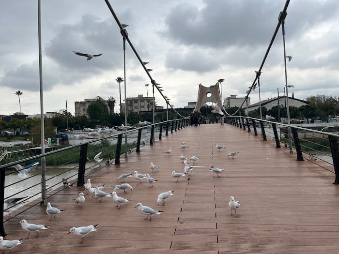 جاهای دیدنی اطراف دریاکنار